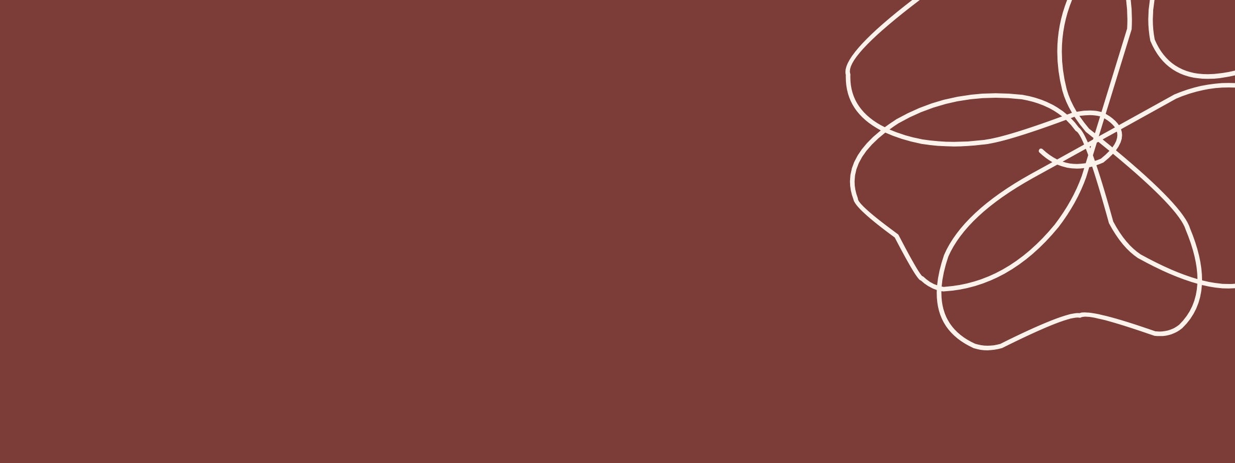 NOS BARRETTES À CHEVEUX MADE IN FRANCE